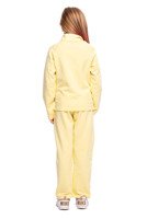 Sport sweatshirt with stand-up collar, zipper and lemon pockets.