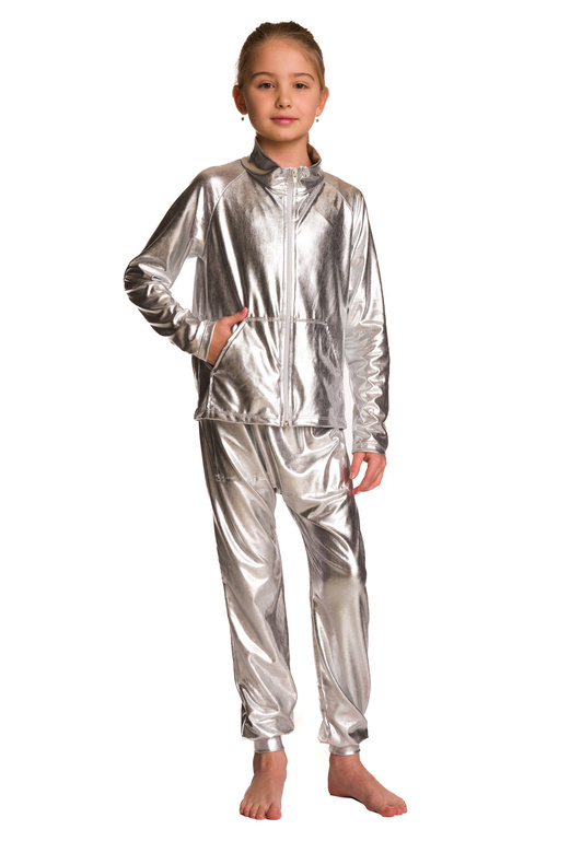 Metallic shining sweatshirt with long sleeves, a stand-up collar, zipper and pockets, silver stage outfit.