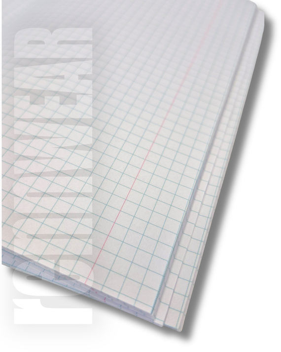GOLDEN GYMNAST | Zeszyt w kratkę szkolną | 32 kartki | rennWEAR